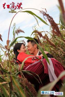 红高粱 在线观看,激情燃烧的岁月，民族抗争的史诗
